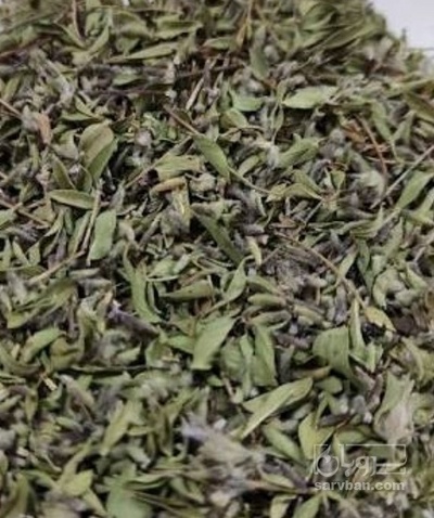 فروش کاکوتی (گیاه‌ دارویی)