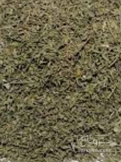 فروش آویشن خشک کوهی (گیاه‌ دارویی)
