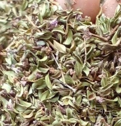 فروش آویشن خشک  باغی(گیاه‌ دارویی)