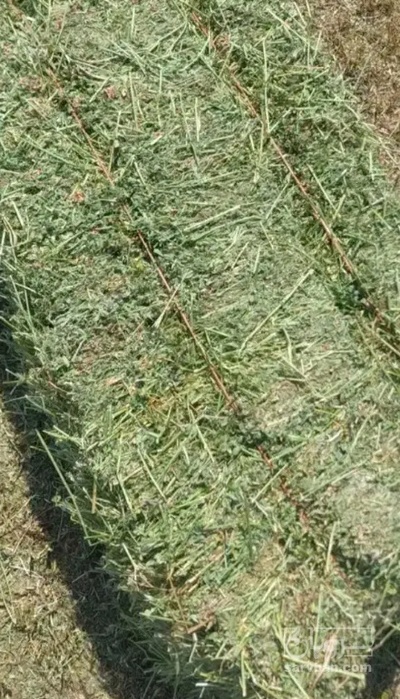 فروش یونجه