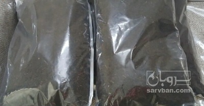 فروش چای سیاه زرین