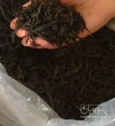 فروش چای سیاه قلم یک