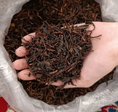 فروش چای سیاه ساقه