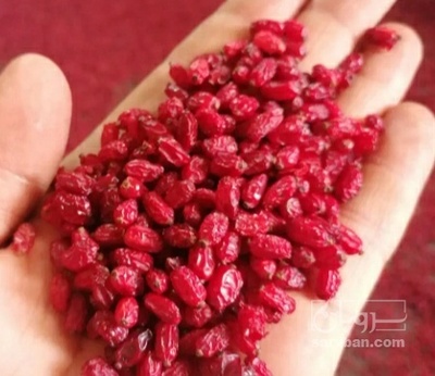فروش زرشک