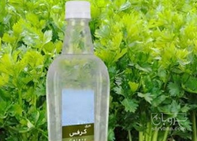 فروش عرق کرفس