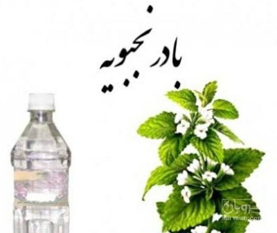 فروش عرق بادرنجبویه