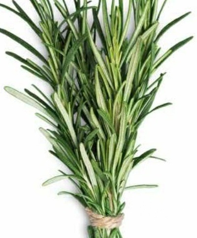 فروش مرزه (گیاه‌ دارویی)
