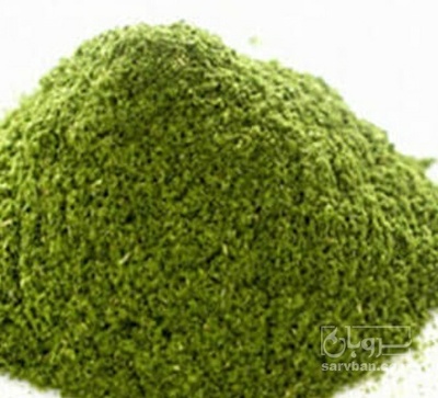 فروش  پودر نعناع خشک (گیاه‌ دارویی)
