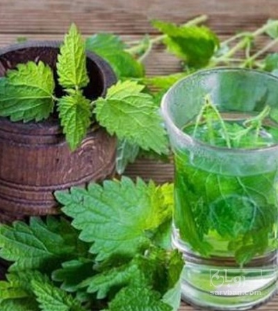 فروش عرق گزنه
