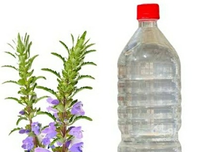فروش عرق بادرنجبویه