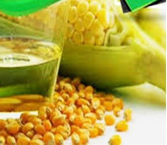 فروش ذرت گلوکز ذرت
