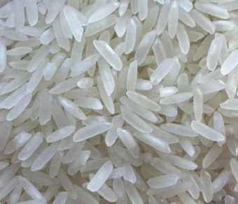 فروش برنج