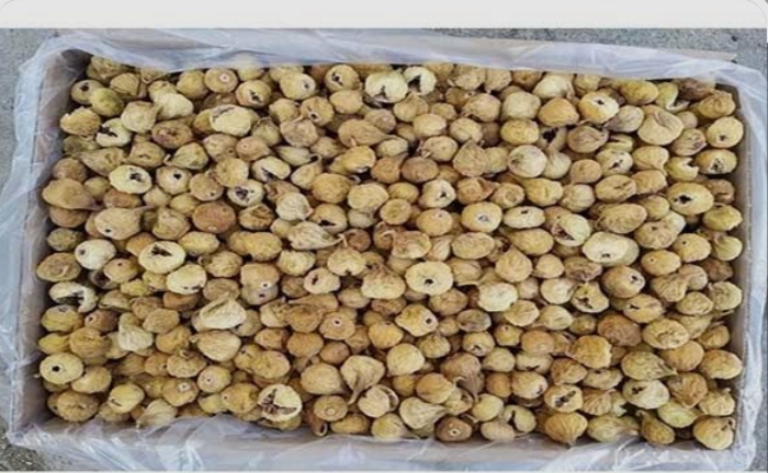 فروش انجیر خشک
