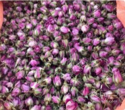 فروش غنچه گل محمدی (گیاه‌ دارویی)