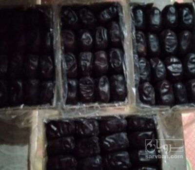 فروش خرمالو