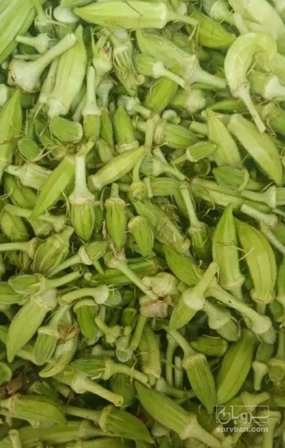 فروش بامیه