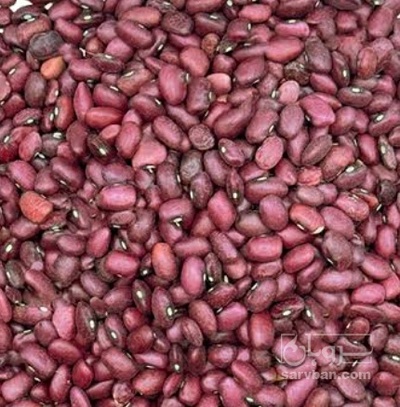 فروش لوبیا قرمز