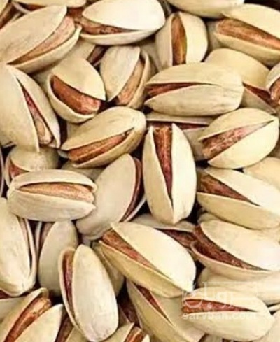 فروش پسته فندقی