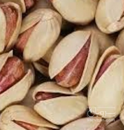 فروش پسته بادامی