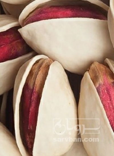 فروش پسته کله قوچی