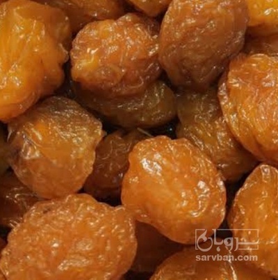 فروش آلو بخارا
