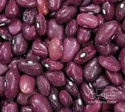 فروش لوبیا قرمز