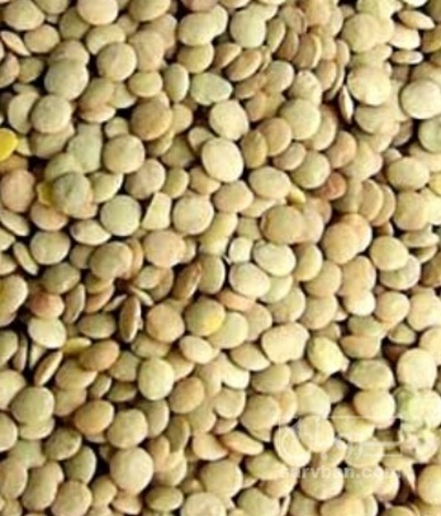 فروش عدس