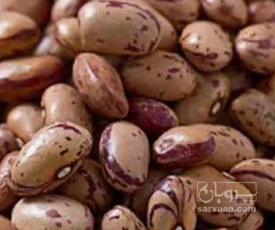 فروش لوبیا چیتی