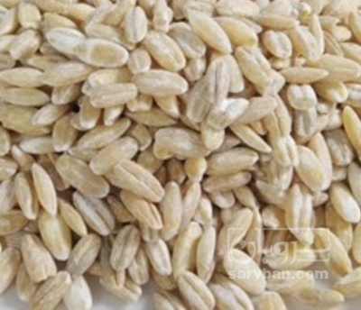 فروش جو پوست کنده