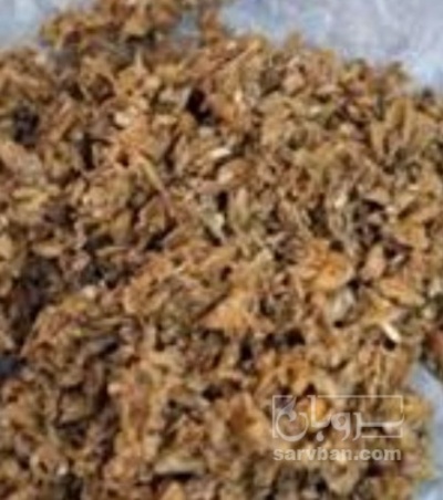 فروش تفاله چغندر