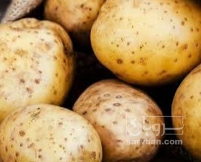 فروش سیب زمینی