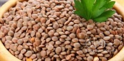 فروش عدس