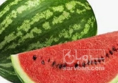 فروش هندوانه