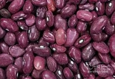 فروش لوبیا قرمز