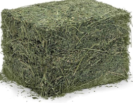 فروش یونجه