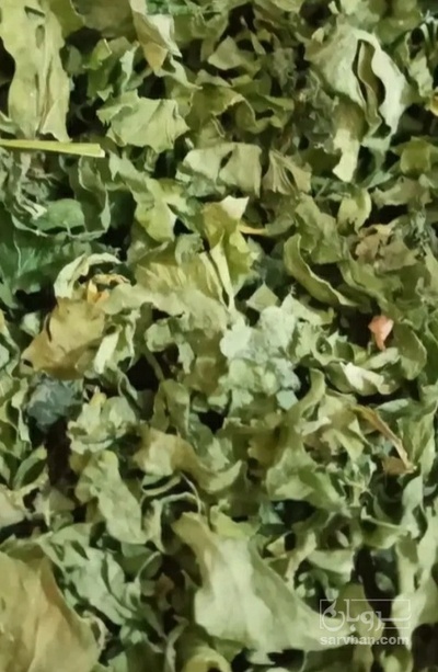 فروش ریحان (گیاه‌ دارویی)