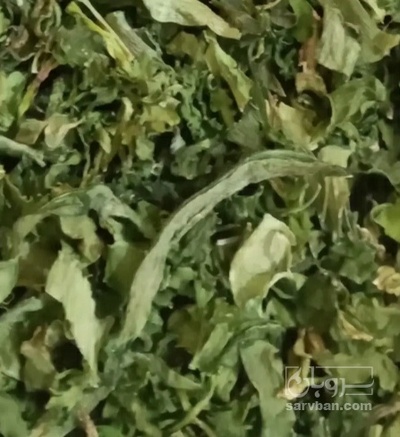 فروش تره خشک