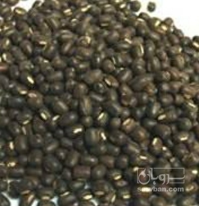 فروش قره ماش (ماش سیاه)
