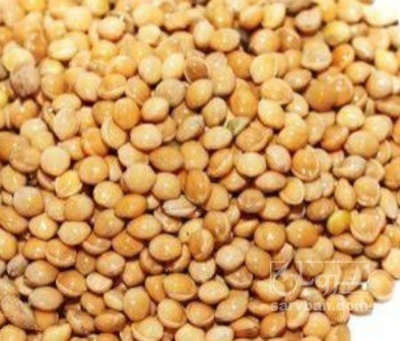 فروش ارزن
