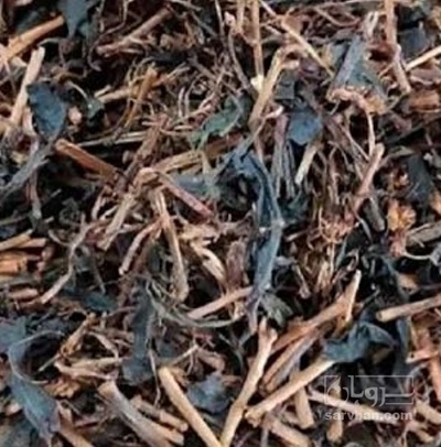 فروش چای چوب