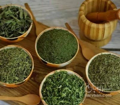 فروش اسفناج