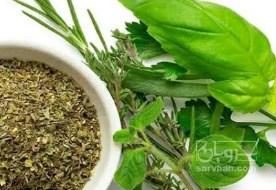 فروش مرزه (گیاه‌ دارویی)