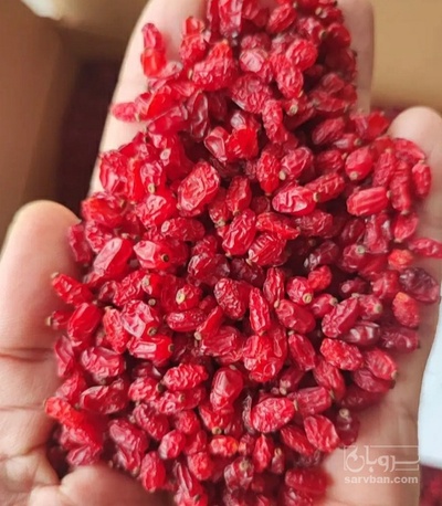فروش زرشک پفکی