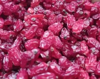 فروش زرشک اناری