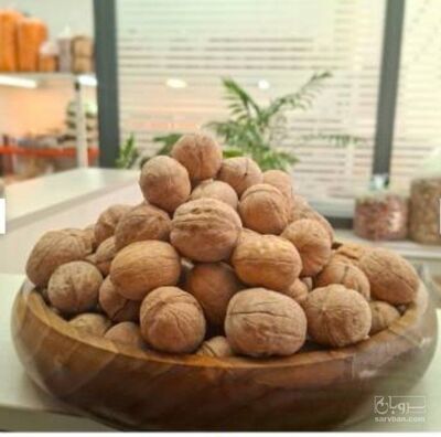 فروش گردو