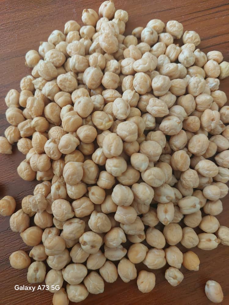 فروش نخود