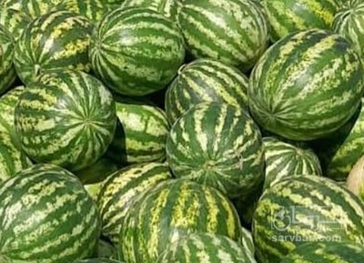 فروش هندوانه