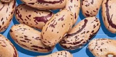 فروش لوبیا چیتی