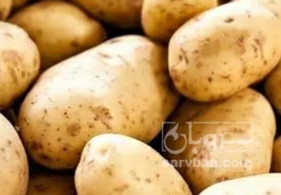 فروش سیب زمینی