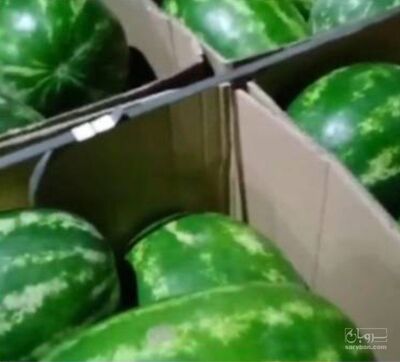 فروش هندوانه